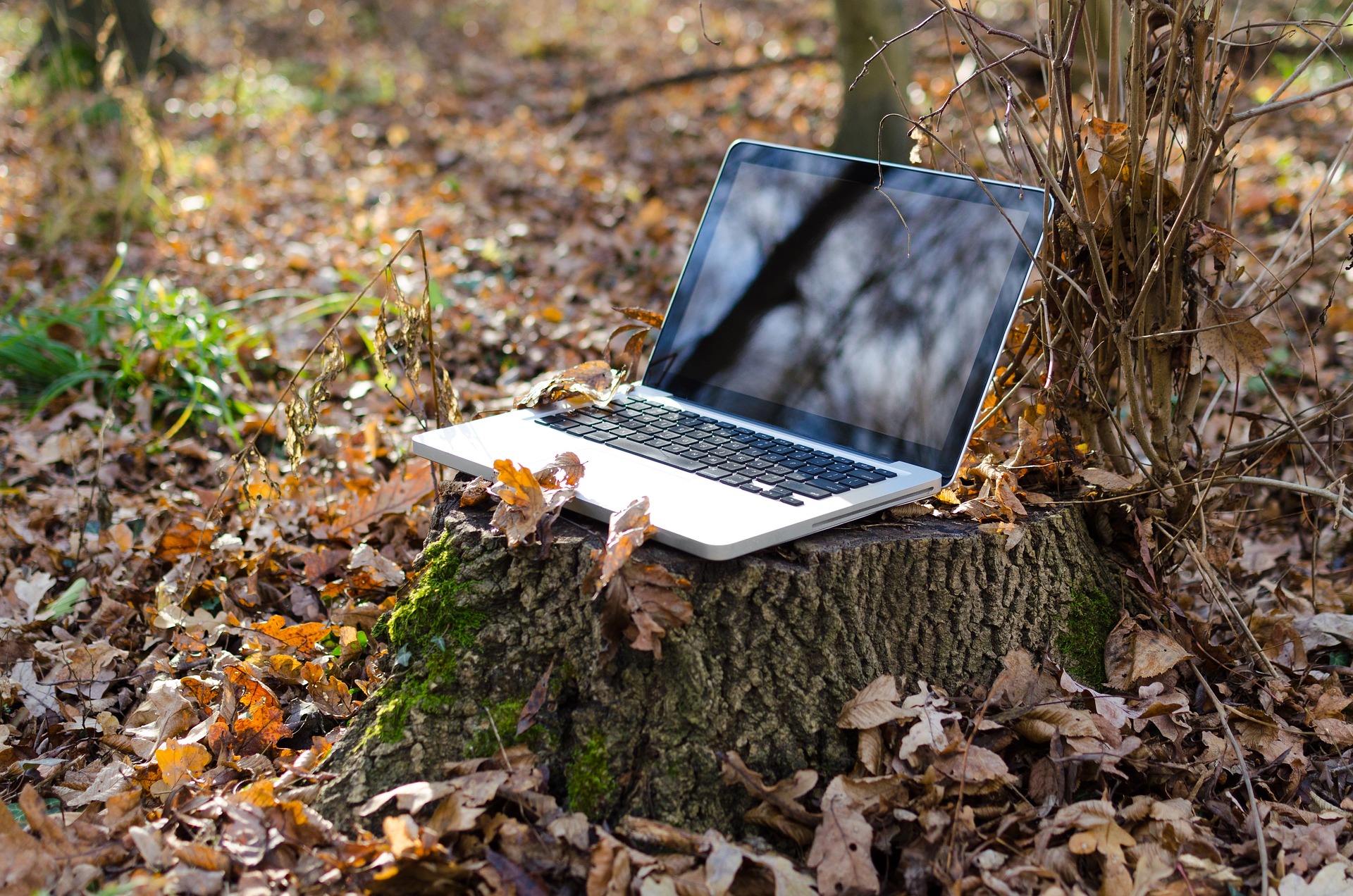 laptop-camping-wifi